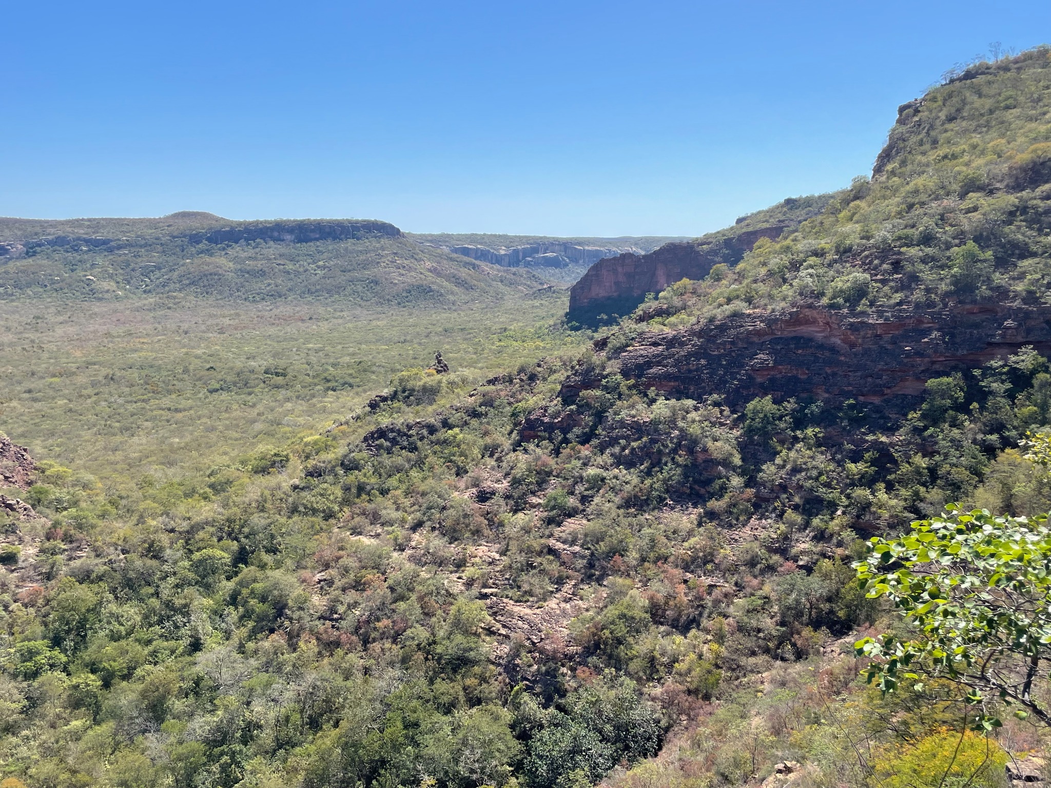 Vale e vegetação da Caatinga na Reserva Ecológica